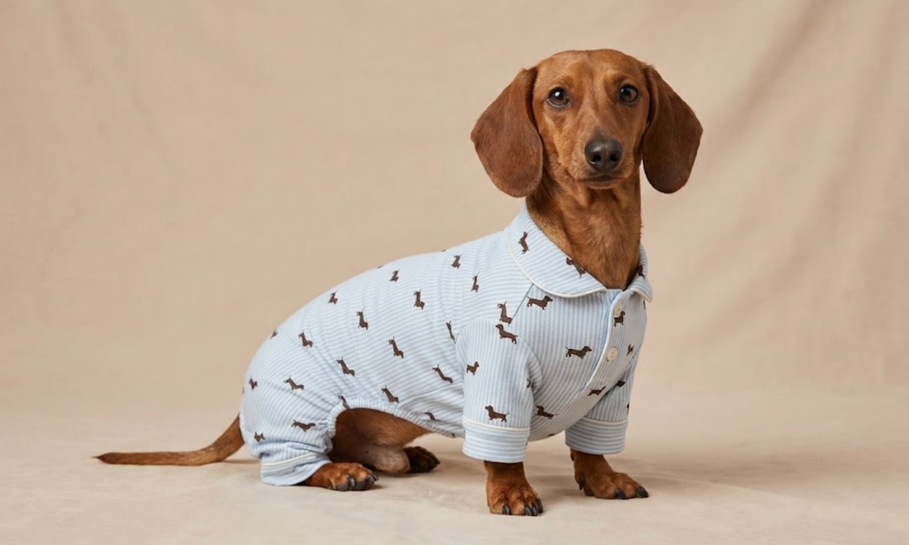 Dachshund Pajamas for Dogs